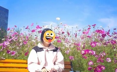 英语课代表的胸软软的!